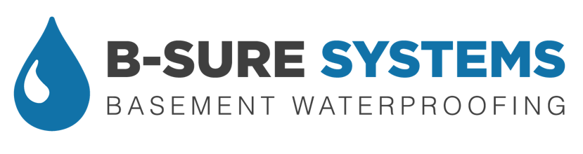 B-Sure Systems logo