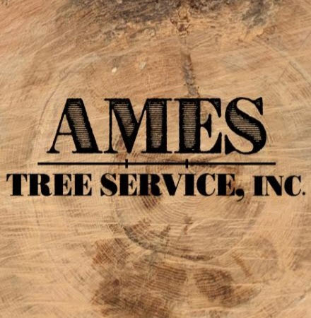 Ames Tree Service Inc. logo