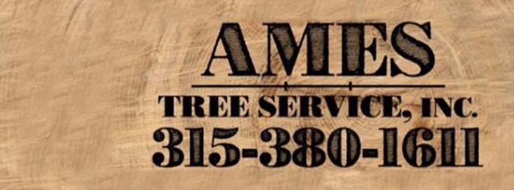 Ames Tree Service Inc. banner