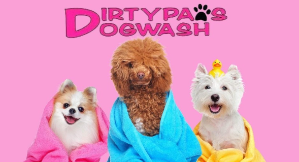 Dirtypaws Dogwash banner