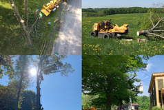 Location image for Ames Tree Service Inc.