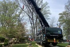 Location image for Kingkiner Tree Service
