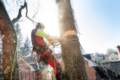 Location image for C&R Tree Service