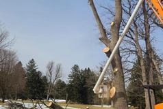 Location image for Northern Berks Tree Service